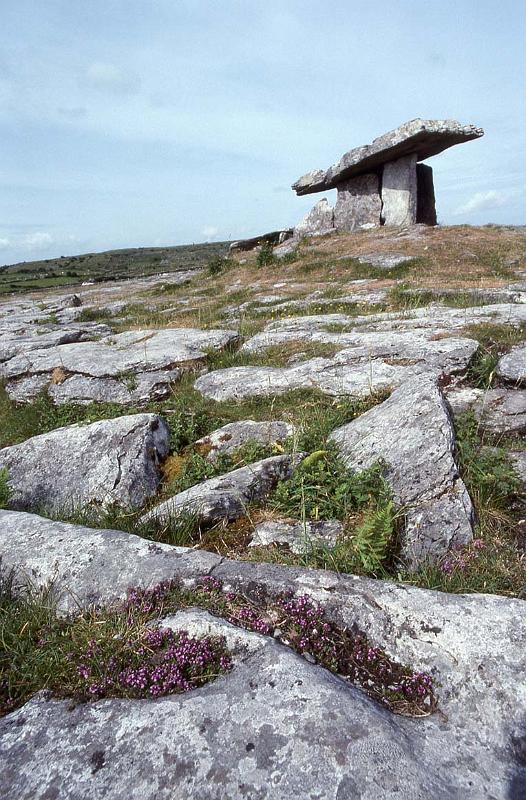 RWT 0322 342-02 Ireland.jpg